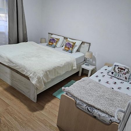 Muric Apartman 9 卢布尔雅那 外观 照片