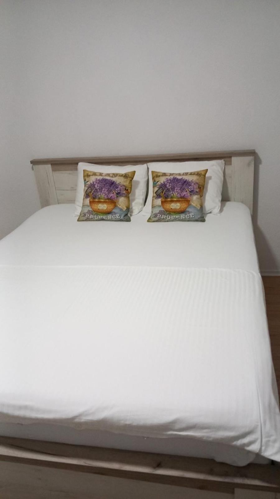 Muric Apartman 9 卢布尔雅那 外观 照片